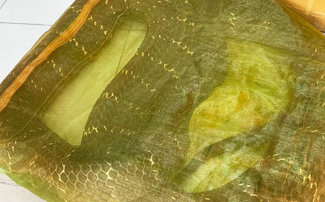  7. Bị bắt vì chở rắn hổ mang chúa 20 kg đi bán: Ngày 22/9, Công an huyện Hóc Môn, TP.HCM đang tạm giữ ông D.V.T. (ngụ tỉnh Đồng Nai) để điều tra về hành vi vận chuyển trái phép động vật thuộc danh mục loài nguy cấp, quý hiếm được ưu tiên bảo vệ. ông D.V.T. đi xe máy chở theo một thùng xốp, bên trong có túi lưới đựng con rắn hổ mang chúa nặng khoảng 20 kg khi đi giao hàng cho khách thì bị công an phát hiện, bắt giữ. 