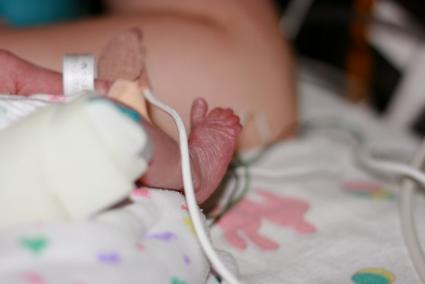 Sinh năm 1987 tại Canada, James Elgin Gill là một trong những cậu bé sinh ra để lập kỷ lục thế giới.