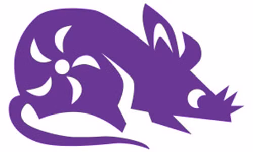 Về sức khỏe, nhìn chung người tuổi Tý tương đối tốt, không có gì đáng lo ngại. Tuy nhiên, bạn có thể thường xuyên rơi vào tình trạng căng thẳng, bất an. Không cần suy nghĩ quá nhiều, hãy bình tĩnh, chăm chỉ tập luyện thể thao tình trạng này của bạn sẽ nhanh chóng qua đi. (Bài viết chỉ mang tính tham khảo, cung cấp nội dung trắc nghiệm vui cho bạn đọc).