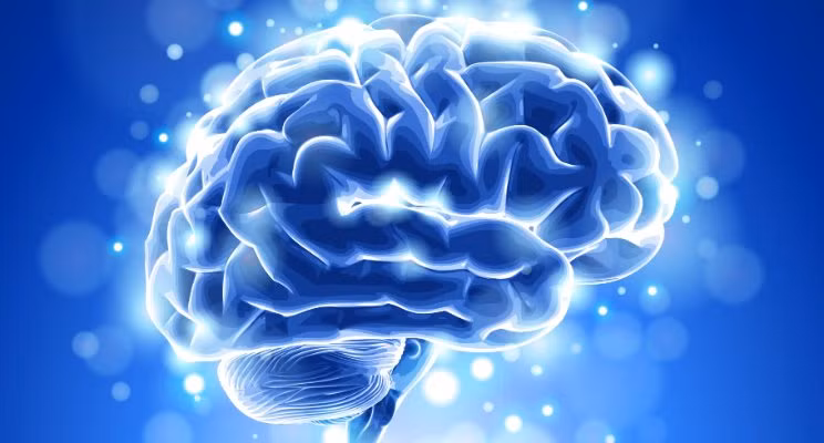 Như vậy, nếu bộ não sử dụng tới 20% năng lượng của cơ thể mà chỉ mới hoạt động với hiệu suất 10% thì điều này hoàn toàn vô lý. Kết quả nghiên cứu cũng chỉ ra hầu hết các khu vực của não bộ đều hoạt động tại bất kỳ thời điểm nào. Ngay cả trong lúc ngủ có một phần của bộ não của con người vẫn hoạt động.