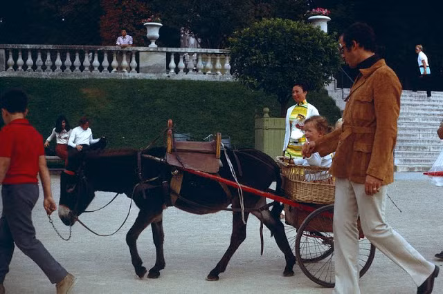 Nhiều gia đình đưa con cái đến Vườn Luxembourg và có khoảng thời gian vui vẻ bên nhau.