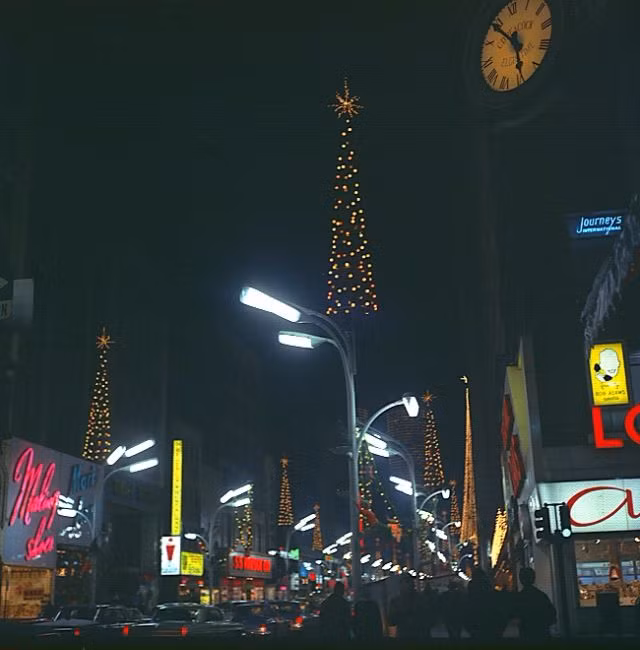 Thành phố Chicago gây ấn tượng với những cây thông trang trí khổng lồ năm 1965.