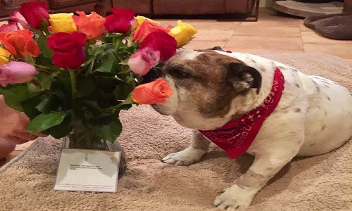 “Sebastian, hãy mau khỏe nhé! Con sẽ sớm quay trở lại cuộc chơi nhanh thôi. Bố yêu con!”, tấm thiệp viết.