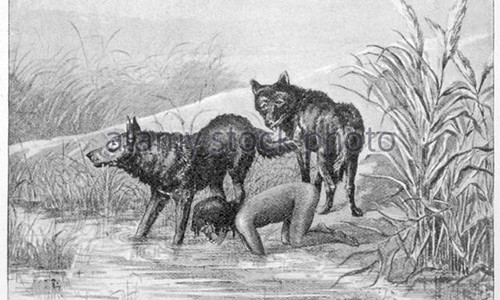 Đến năm 19 tuổi, cô mới trở về và hòa nhập với thế giới con người, được học đọc và viết.