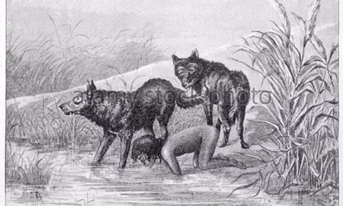 Đến năm 19 tuổi, cô mới trở về và hòa nhập với thế giới con người, được học đọc và viết.