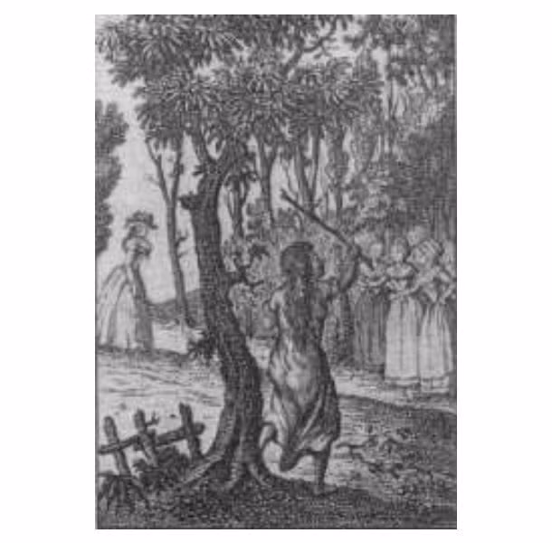 Marie-Angélique Memmie Le Blanc là một trong những đứa trẻ nổi tiếng lịch sử. Sống vào thế kỷ 18 ở Pháp, được biết đến với biệt danh "cô bé rừng xanh".