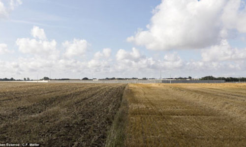 Bao quanh nhà tù là cánh đồng của vùng nông thôn.