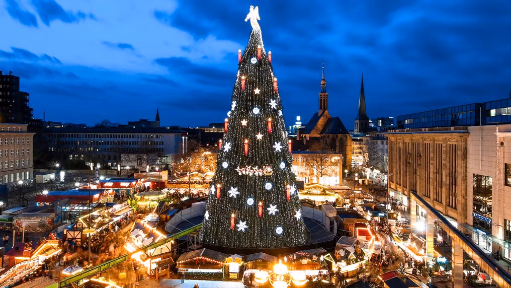 Cây thông Noel khủng nhất thế cao hơn 67m, được đặt tại trung tâm mua sắm ở Washington năm 1950.