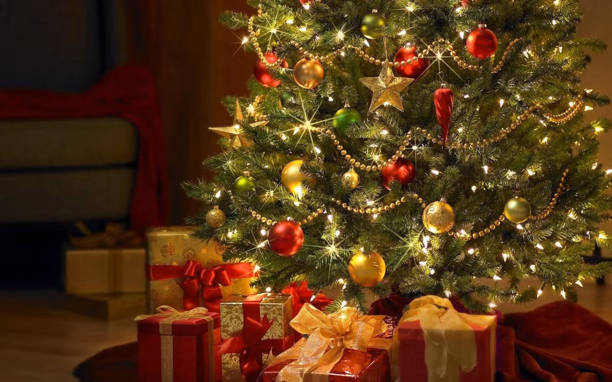 Để những cây thông Noel trở nên rực rỡ như ngày nay phải cảm ơn nhà phát minh thiên tài Edward Johnson, ông đã phát minh ra đèn màu trang trí Giáng sinh.