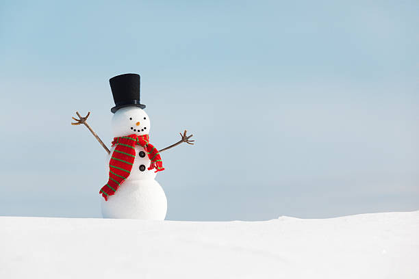 Mỗi dịp Giáng sinh, người dân, đặc biệt là trẻ em ở nhiều nước trên thế giới vô cùng thích thú khi tạo là người tuyết. Theo đó, năm 1999 người dân ở tiểu bang Maine, Mỹ đã tạo ra người tuyết lớn nhất thế giới với chiều cao lên đến gần 35m.