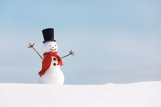 Mỗi dịp Giáng sinh, người dân, đặc biệt là trẻ em ở nhiều nước trên thế giới vô cùng thích thú khi tạo là người tuyết. Theo đó, năm 1999 người dân ở tiểu bang Maine, Mỹ đã tạo ra người tuyết lớn nhất thế giới với chiều cao lên đến gần 35m.