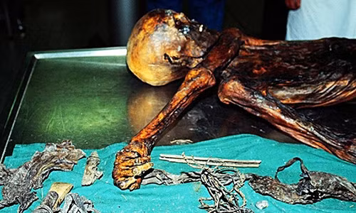 Hiện xác ướp Otzi được bảo quản tại Bảo tàng South Tyrol ở Italy. Hàng năm, hàng ngàn người ghé thăm bảo tàng này để chiêm ngưỡng xác ướp được bảo quản khá hoàn hảo trên.