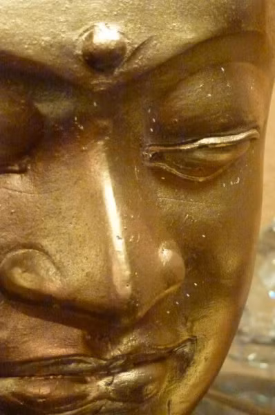 (Những đốm trắng li ty trong hình ảnh tượng Phật này Tổ chức Pháp Luân Công cho rằng đó là Hoa Ưu Đàm báo hiệu Lý Hồng Chí là Phật)