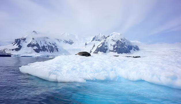 Tàu thuyền cũng được dự đoán sẽ không thể đi qua một số nơi của vùng biển phía nam vì lượng băng lớn ở Nam Cực bị tan. Bên cạnh những dự đoán đáng sợ về thế giới năm 2018, ông Hamilton-Parker dự báo năm mới cũng sẽ có điều tốt đẹp xảy đến.