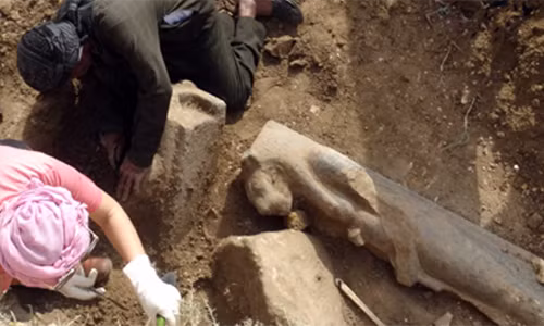 Các chuyên gia tỉ mỉ khai quật hàng chục bức tượng nữ thần Sekhmet. Ảnh: Ministry of Antiquities.