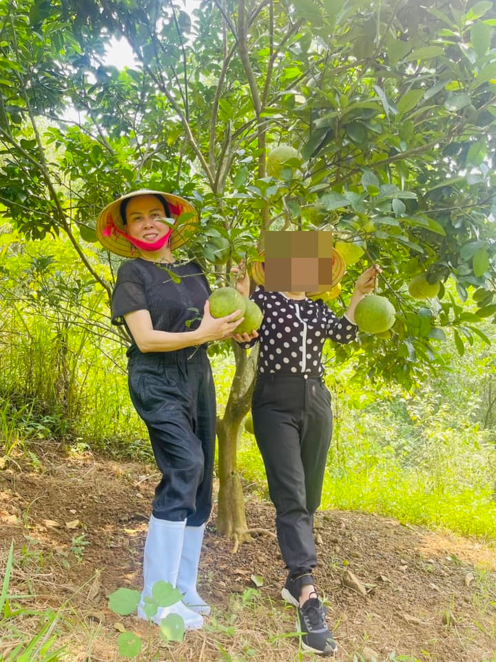 Nữ đại gia xứ Thanh đội nón lá, đi ủng thăm vườn trái cây trĩu quả.