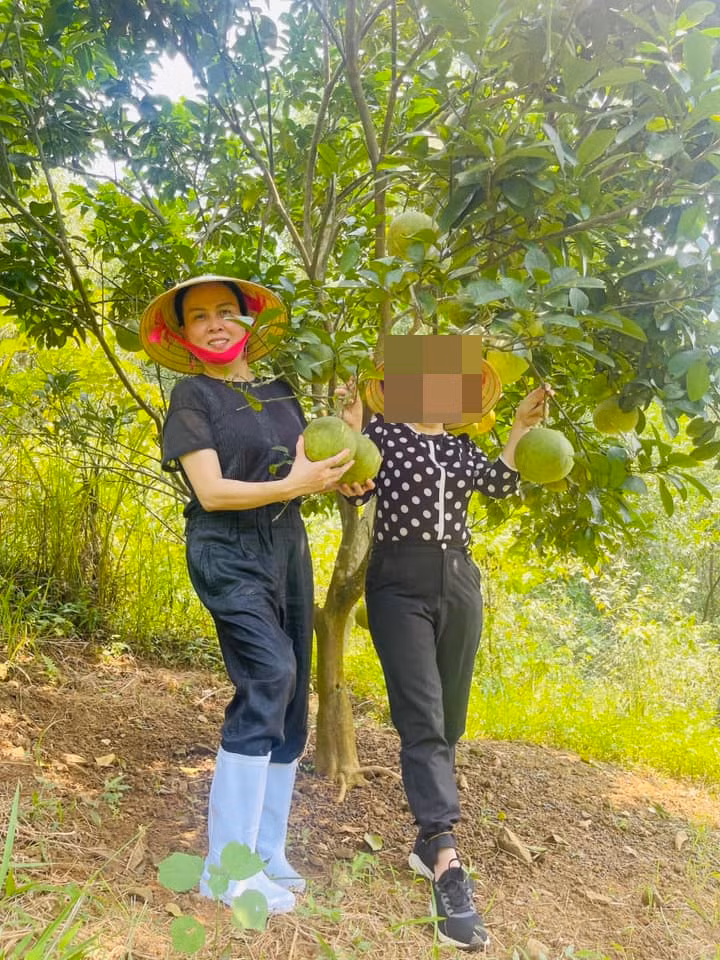 Nữ đại gia xứ Thanh đội nón lá, đi ủng thăm vườn trái cây trĩu quả.