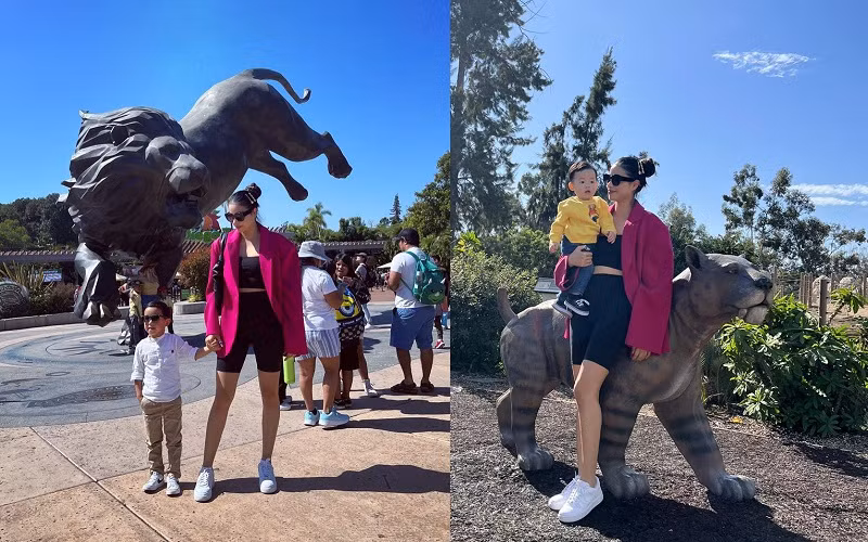 Qua những hình ảnh người đẹp gốc Hải Phòng chia sẻ, Phạm Hương đang có cuộc sống viên mãn và sung túc trong căn biệt thự hai tầng bề thế, có bể bơi, sân vườn rộng và hoa phủ khắp lối đi.