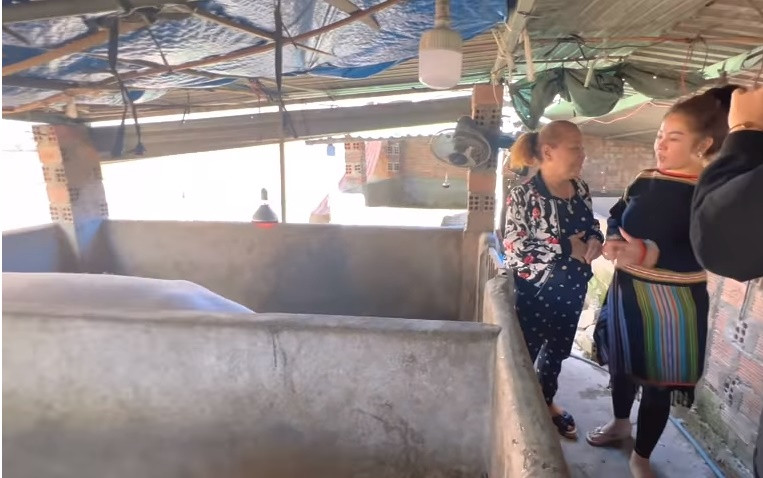 Giọng ca sinh năm 1967 còn dẫn em gái đi thăm khu vực chăn nuôi gia súc, gia cầm khá rộng rãi của gia đình.