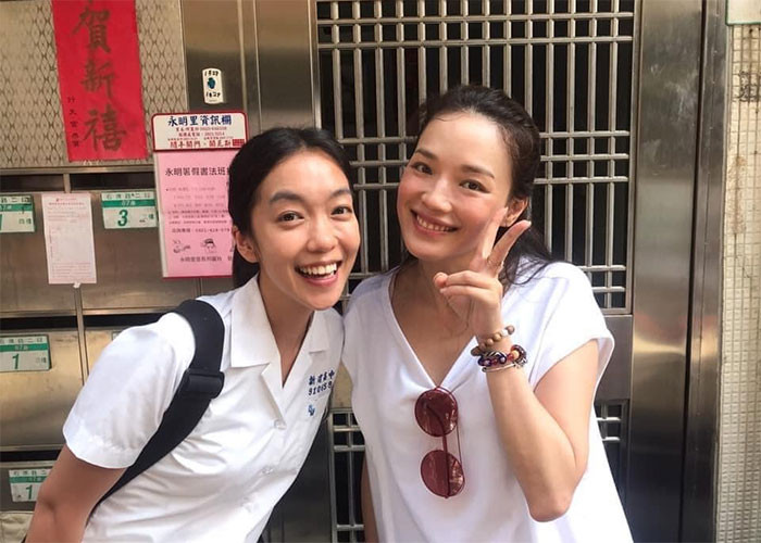 Tài năng của cô đã được ghi nhận bằng rất nhiều giải thưởng như: "Giải Kim Mã", "Giải Hoa Biểu", "Giải thưởng điện ảnh Hong Kong", "Giải Bách Hoa"...