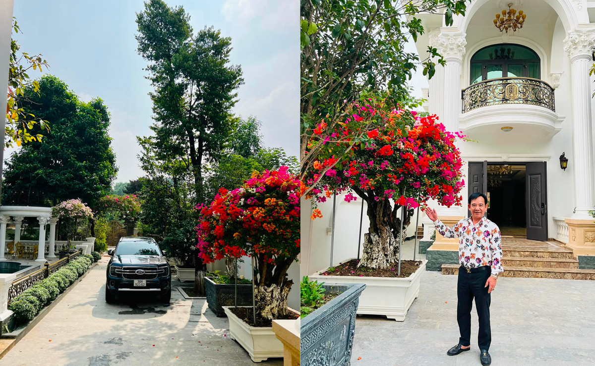 Được biết, nam nghệ sĩ hiện sở hữu một biệt thự vườn rộng gần 1000m2 ở ngoại thành Hà Nội.