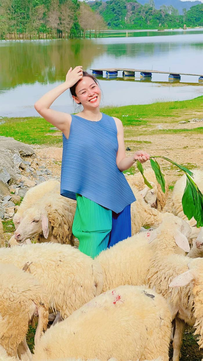 Ngoài phim truyền hình và những vai diễn trong chính kịch, Diễm Hương còn đảm nhiệm cả vai trò diễn viên hài và MC.