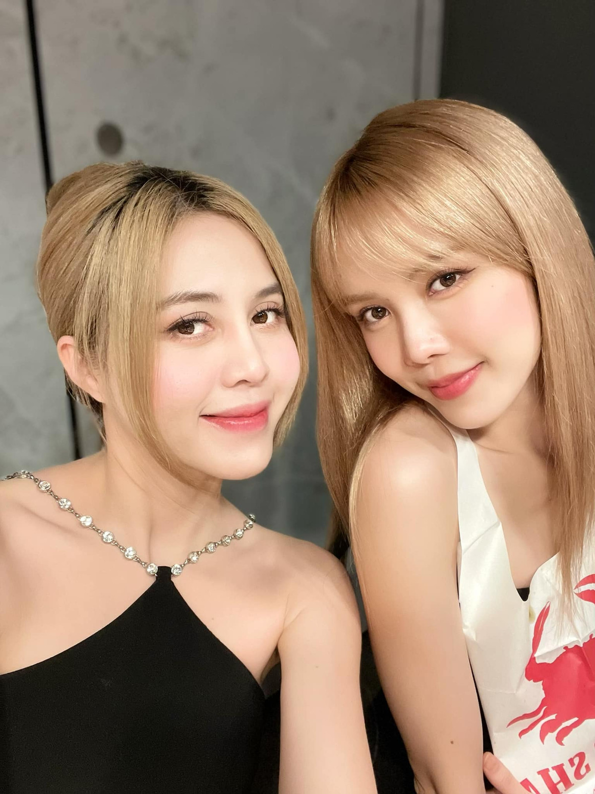 Thiều Anh Đào và em út Thiều Bảo Trâm đọ nhan sắc "vạn người mê".