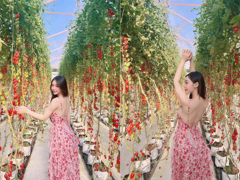 Váy hoa hai dây hở trọn phần lưng khiến Quỳnh Kool càng thêm vẻ nữ tính, hấp dẫn.