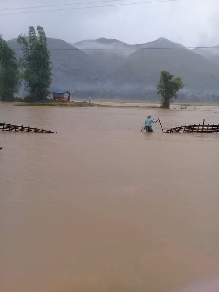 Nhiều ha hoa màu của người dân bị ngập. Ảnh: Laocaoonline.