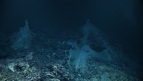 Theo đó, những sinh vật nào sống ở rãnh đại dương sâu nhất thế giới trở thành bí ẩn lớn mà các chuyên gia đang nỗ lực đi tìm lời giải.