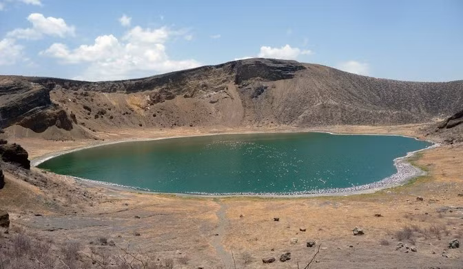 Tai sao 12.000 ca sau song Nile sinh song trong ho giua sa mac?-Hinh-2