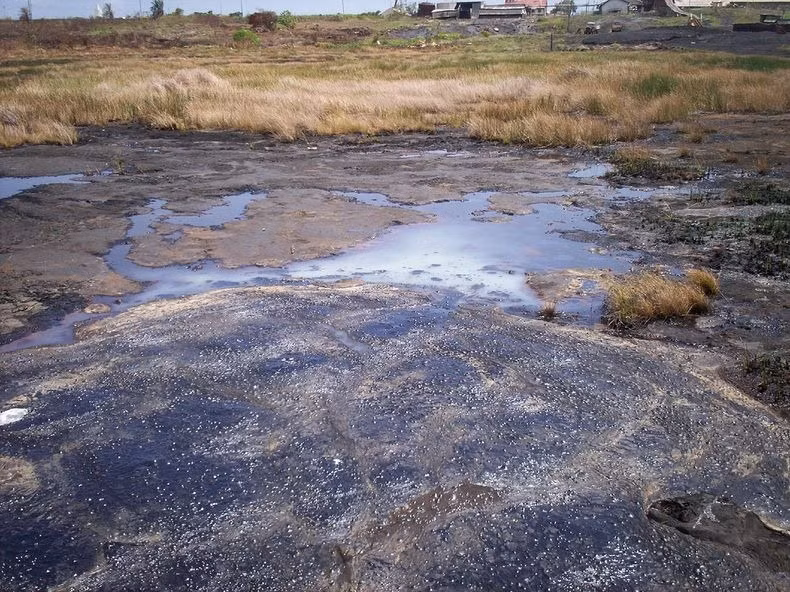 Bên cạnh giá trị khai khoáng, hồ Pitch còn là địa điểm hấp dẫn giới khảo cổ và các chuyên gia khoa học. Bởi lẽ hồ nhựa đường lớn nhất thế giới có những dấu vết của các động vật ẩn dưới lớp nhựa đường đặc dính.