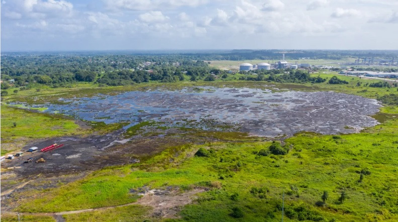 Những con vật này có thể sà xuống hồ để tìm thức ăn và bị nhấn chìm xuống phía dưới. Trải qua hàng ngàn năm, bộ xương hóa thạch của chúng còn khá nguyên vẹn giúp giải mã bí ẩn về cuộc sống thời xưa.