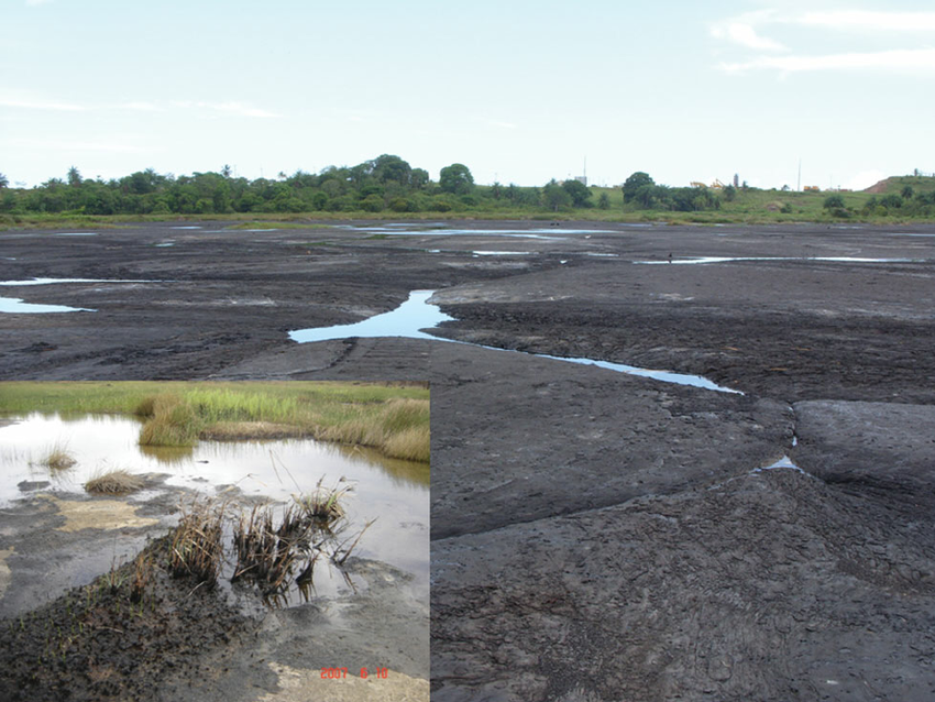 Các chuyên gia ước tính trong hồ Pitch còn khoảng 6 triệu tấn nhựa đường. Với trữ lượng như vậy, hồ Pitch trở thành hồ nhựa đường lớn nhất thế giới.