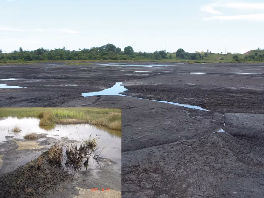 Các chuyên gia ước tính trong hồ Pitch còn khoảng 6 triệu tấn nhựa đường. Với trữ lượng như vậy, hồ Pitch trở thành hồ nhựa đường lớn nhất thế giới.