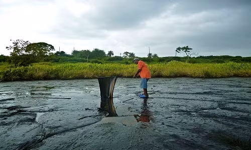 Mặc dù trông khá bình lặng nhưng nhựa đường ở hồ Pitch vẫn chuyển động và có thể nhìn rõ dòng chảy của lớp nhựa.
