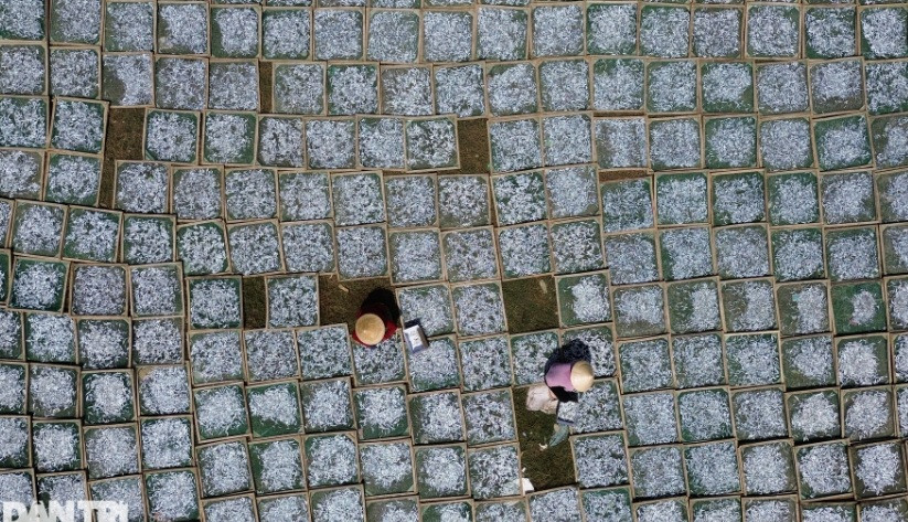 Theo ông Nguyễn Hoài Thanh - Chủ tịch UBND xã Tịnh Kỳ, nghề làm cá cơm khô ở địa phương đã có từ rất lâu. Hiện trên địa bàn xã có 10 cơ sở chế biến cá cơm khô, tạo việc làm cho hàng trăm lao động. "Cá cơm được phơi khô, bán cho các thương lái với giá thành cao hơn so với bán tươi và làm mắm. Nghề này đã góp phần tăng thu nhập cho người dân địa phương", ông Thanh nói. 