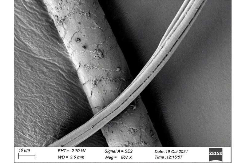 Nhóm chuyên gia tiến hành phân tích mẫu vật đất trong mộ cổ và phát hiện lông tơ từ một loài thủy cầm có thể được dùng làm giường cho đứa trẻ xấu số trên.