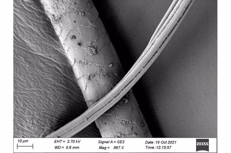 Nhóm chuyên gia tiến hành phân tích mẫu vật đất trong mộ cổ và phát hiện lông tơ từ một loài thủy cầm có thể được dùng làm giường cho đứa trẻ xấu số trên.