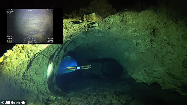 Theo nội dung bộ phim tài liệu về châu Phi trên đài BBC của nhà tự nhiên học nổi tiếng người Anh David Attenborough, hang Hơi thở rồng là nơi sinh sống của cá da trơn vàng (Clarias cavernicola), thuộc họ Cá trê có vẻ đẹp độc đáo và thuộc nhóm động vật cực kỳ nguy cấp theo Sách Đỏ của Liên minh Bảo tồn Thiên nhiên Quốc tế (IUCN).