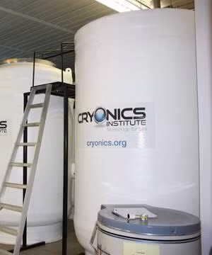 Hiện Cryonics Institute cung cấp cho mọi người một số cách đông lạnh bảo quản thi thể khác nhau với chi phí từ 28.000 - 200.000 USD.