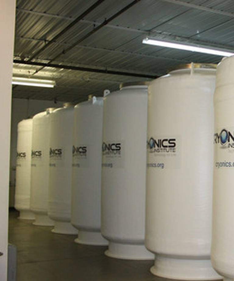 Cryonics Institute được thành lập năm 1976. Nhà nghiên cứu Robert Ettinger, người sáng lập Cryonics Institute, được xem là cha đẻ của lĩnh vực đông lạnh chờ hồi sinh.