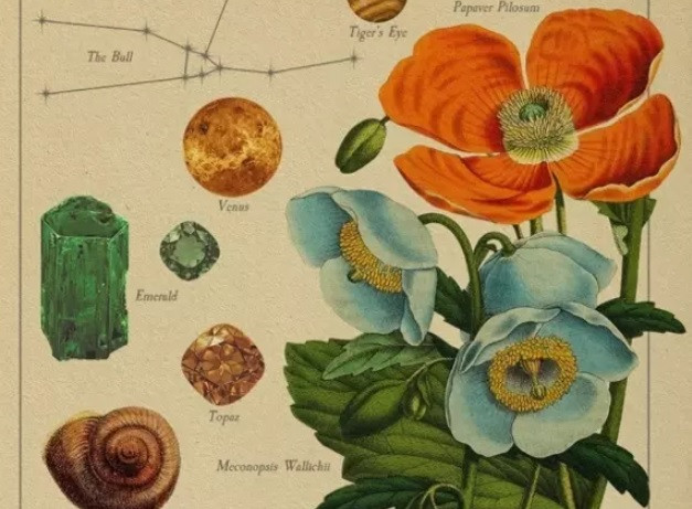 Lắng nghe thông điệp vũ trụ, khám phá biểu tượng thú vị các chòm sao Lang nghe thong diep vu tru, kham pha bieu tuong thu vi cac chom sao