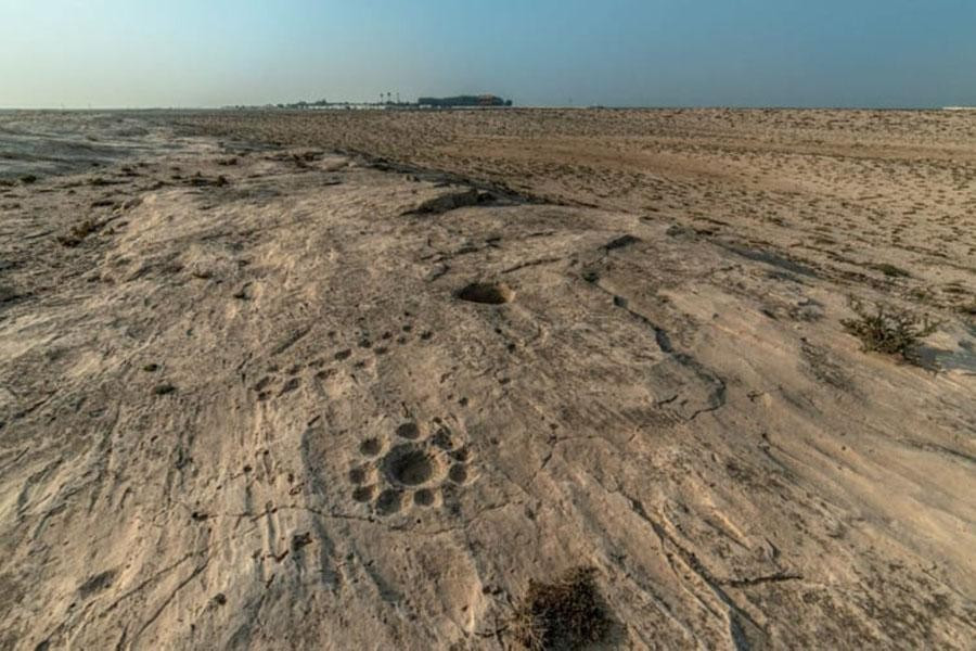 Tuy nhiên, mọi người chỉ có thể nhìn rõ những bức tranh khắc trên đá từ trên cao do những hình vẽ này có kích thước khá lớn.