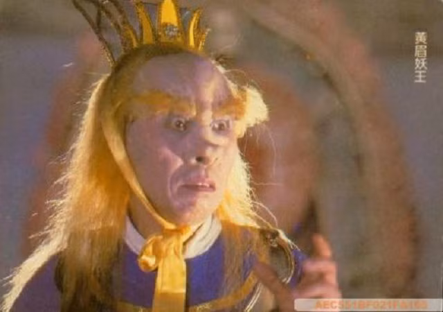 Vốn là một tiểu đồng (đứa trẻ) lông mày vàng giữ khánh cho Phật Di Lặc, nhân lúc Di Lặc dự hội, Hoàng Mi Lão Phật lấy trộm bảo bối xuống trần lập ra Lôi Âm (Tiểu Lôi Âm) tự giả, tự xưng là Hoàng Mi Lão Phật.