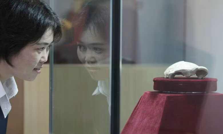 Khu tự trị Tân Cương được nhiều người biết đến như là cái nôi của trượt tuyết. Đôi giày trượt tuyết bằng xương động vật trên là phát hiện đầu tiên thuộc loại này ở Trung Quốc.