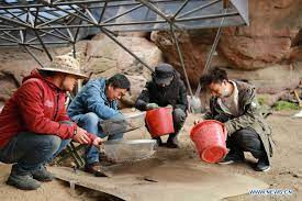 Ngoài đôi giày đặc biệt trên, các nhà khảo cổ còn tìm thấy dấu tích của 40 phương tiện gỗ bao gồm bánh xe bằng gỗ cứng, càng xe, trục và khoang xe.