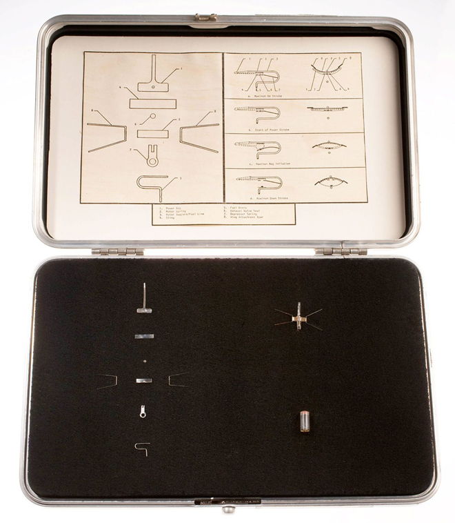 Dự án này được CIA gọi là “Insectothopter” và giao cho Charles Adkins phụ trách thực hiện. Sau một thời gian nghiên cứu, các nhà khoa học làm việc trong nhóm của ông Charles thống nhất tạo ra robot chuồn chuồn gián điệp.