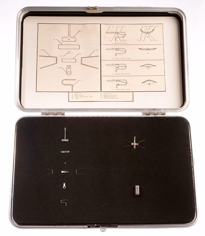 Dự án này được CIA gọi là “Insectothopter” và giao cho Charles Adkins phụ trách thực hiện. Sau một thời gian nghiên cứu, các nhà khoa học làm việc trong nhóm của ông Charles thống nhất tạo ra robot chuồn chuồn gián điệp.