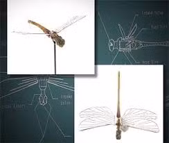 Về mặt lý thuyết, robot chuồn chuồn gián điệp có thể bay với tốc độ gió dưới 11,26 km/giờ. Thế nhưng, trong các cuộc thử nghiệm, thiết bị này không hoạt động hiệu quả như dự kiến vì gặp phải những tình huống bất ngờ như các cơn gió mạnh bất thường.